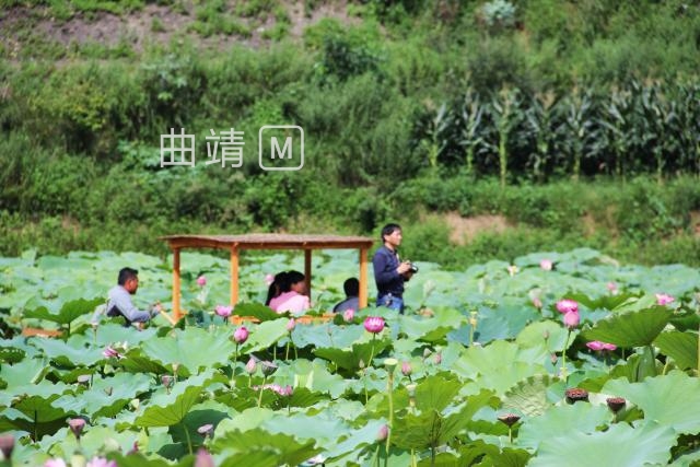 ������С�ܵ��ͺɻ�