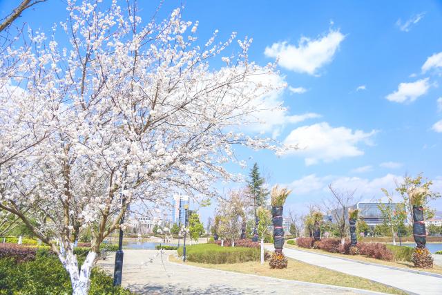 ������������������