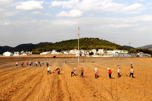 ����ӿɽ�硡����������ͼ��