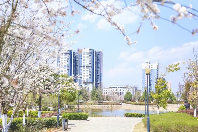 ������������������