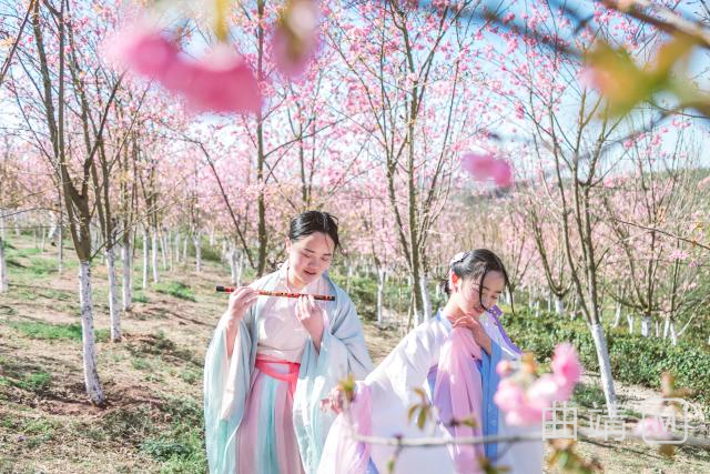 ����ӣ�����ţ����뻨��Լ����������