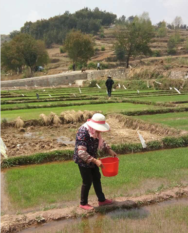 ��ũҵ��ָ��ũ����ʱ����ץ����