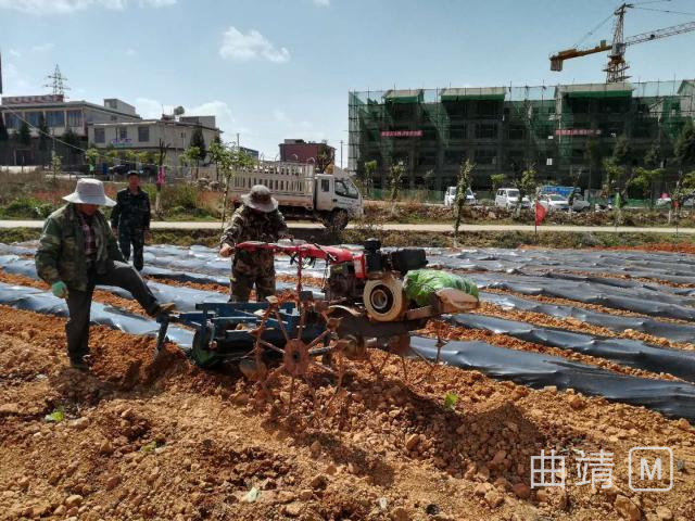 �������е����Ĥ�ٿ�������