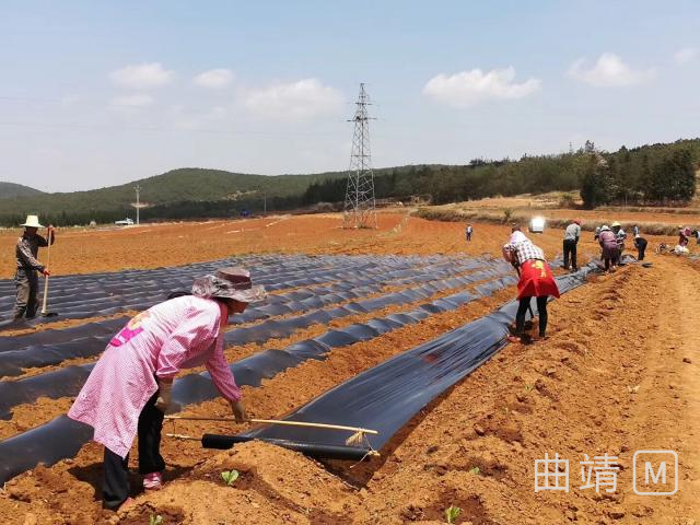 �������е����Ĥ�ٿ�������