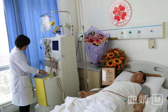 ���ޣ�����������Ѫ��ϸ������־Ը�߳ɹ�����