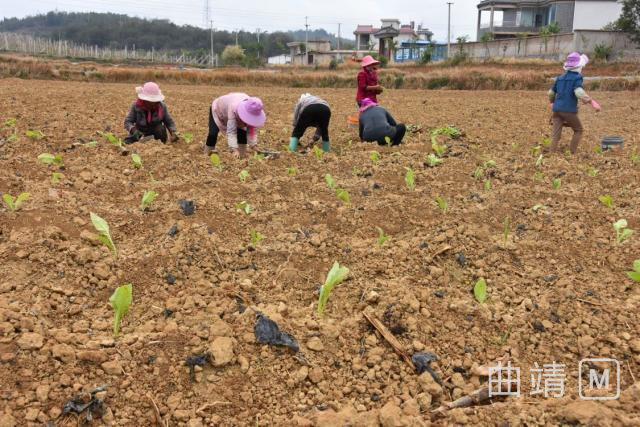 ��ͷ��ֵ��������Խ���