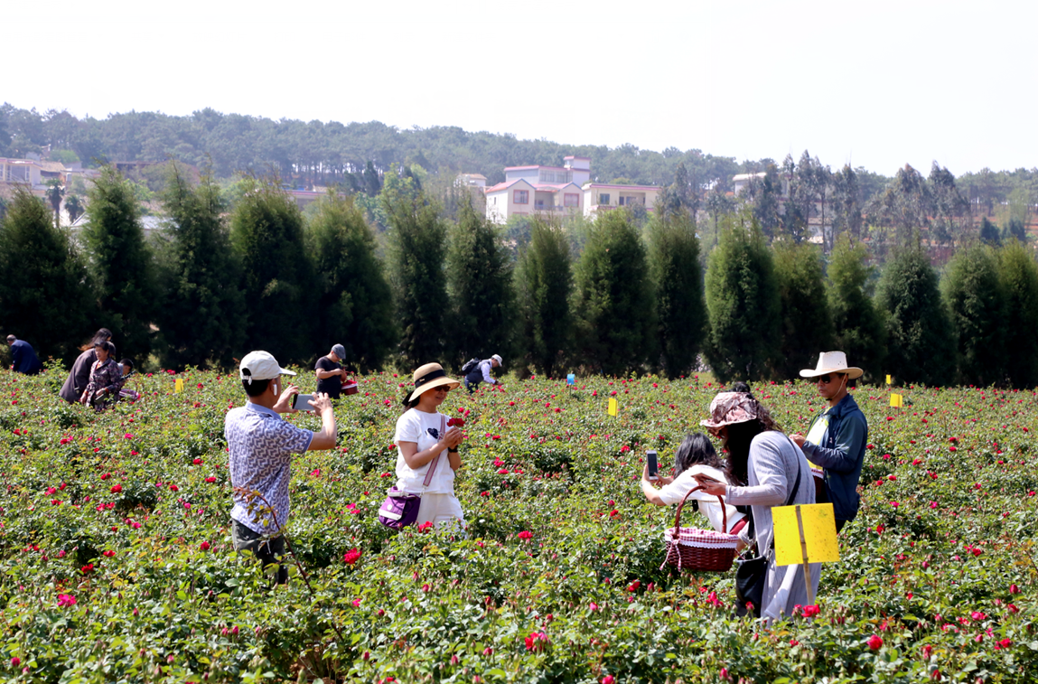 �λ��ʻ��������˷��ο��ͻ�����