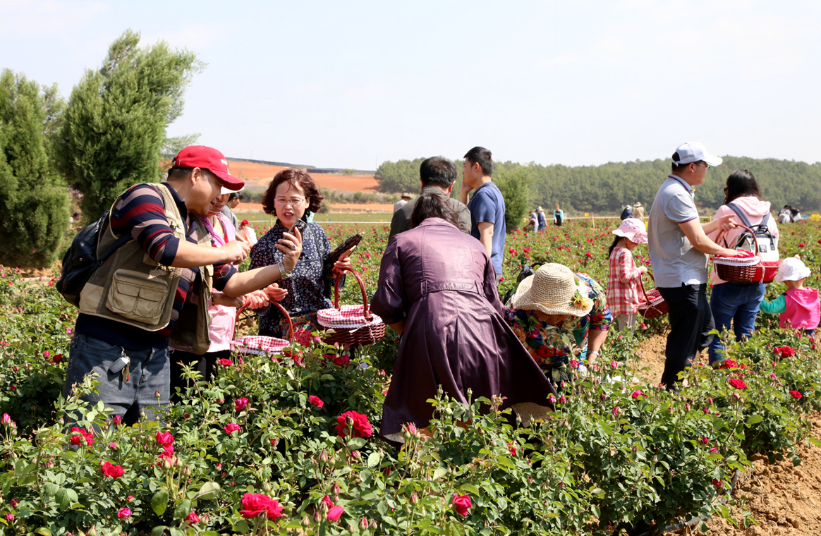 �������أ��λ��ʻ��������˷��ο��ͻ�����