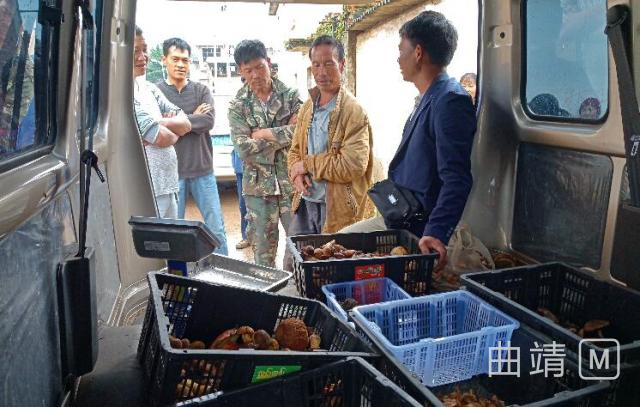 ����̬�͸��������պ�����