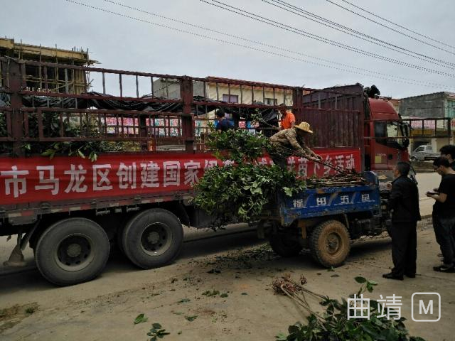 ����ҵ�����絽����������ɭ������������